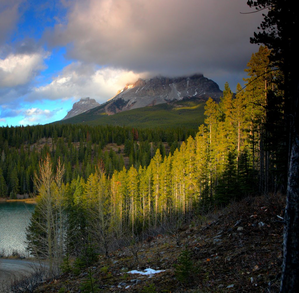 Crowsnest Pass, AB T0K, Canada by Aleksey Krasnov