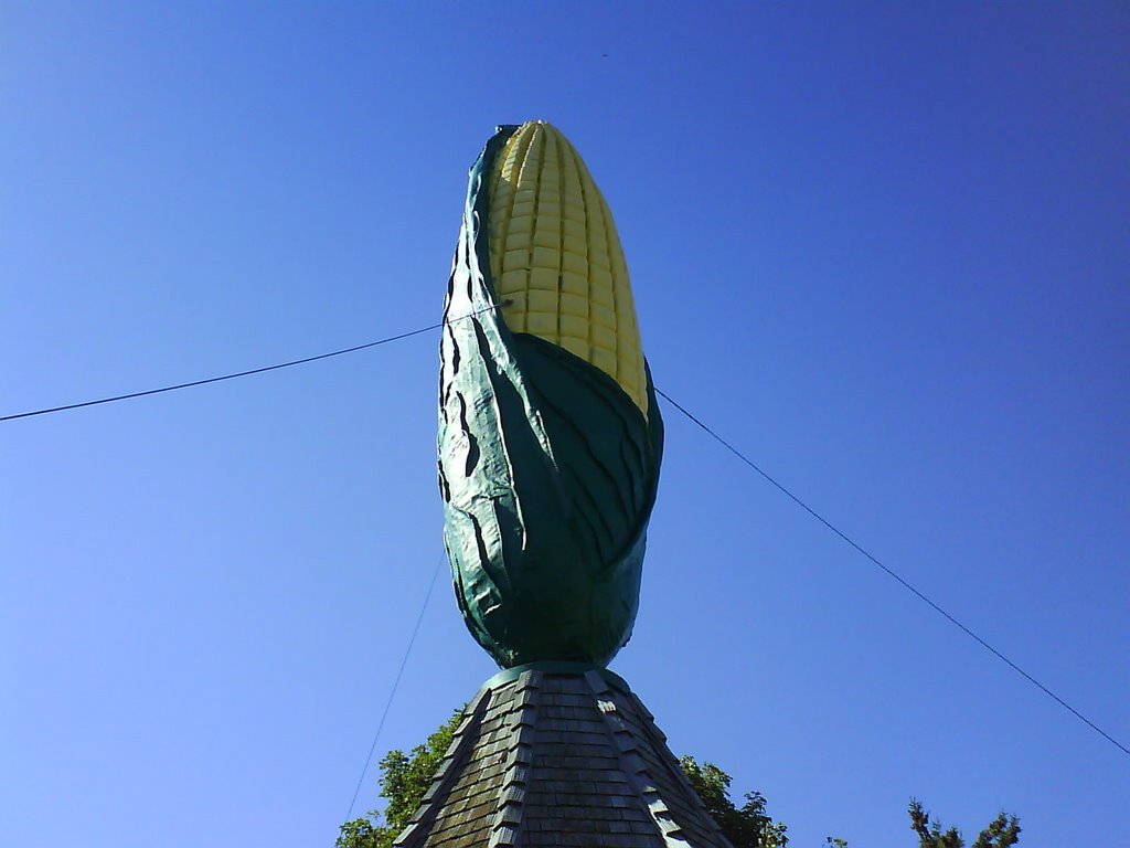 Giant Ear of Corn by John Strot