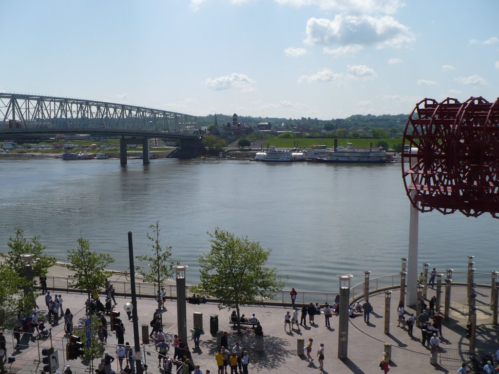 Looking south across Ohio River by Pineapple .... XVI