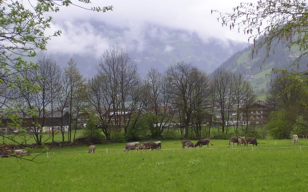 Mayrhofen by Kemény Éva