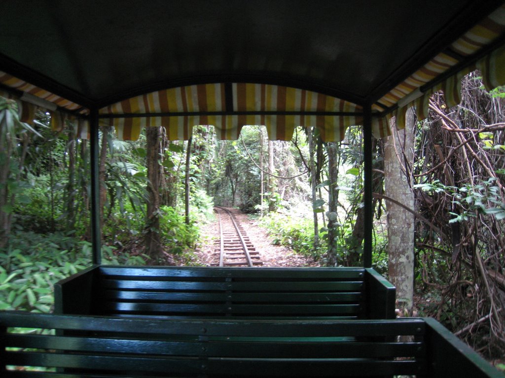 Railway at the Big Pineapple by andosz