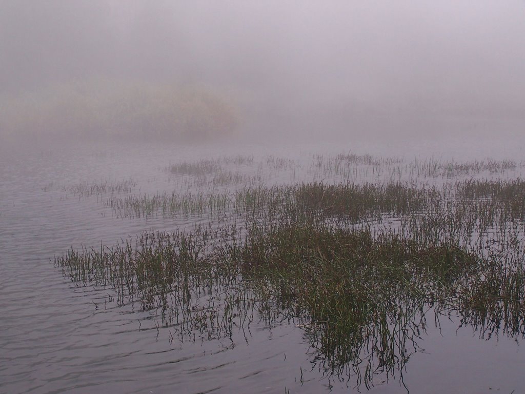 Fantasy Lake (夢幻湖) in the Fog by omshakti