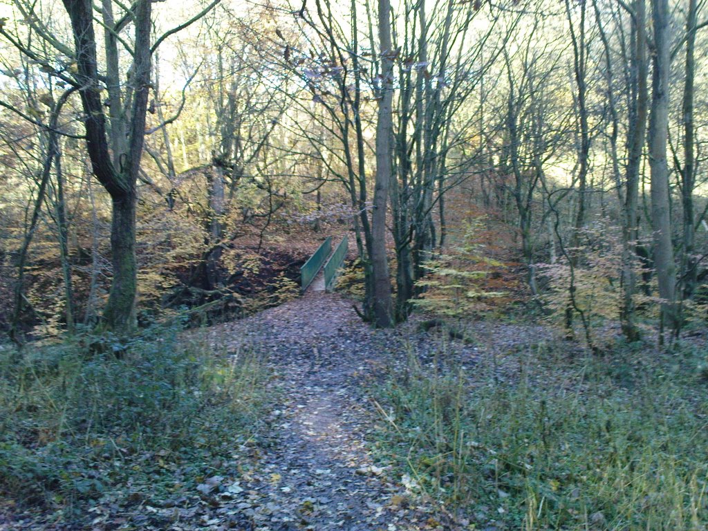 Bridge over river douglas in arley woods by run990