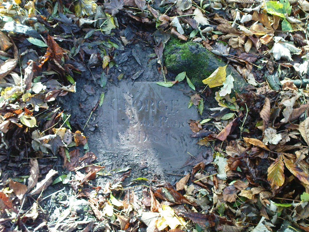 Horses grave at golf club near haigh by run990