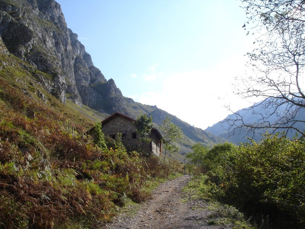 Cabaña cerca de bulnes by orencius