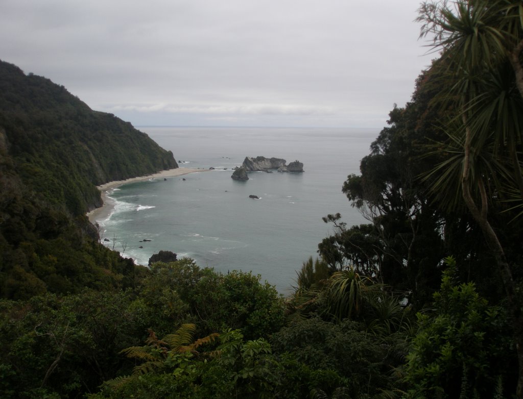 Bruce Bay (NZ) by Ivan Rybka