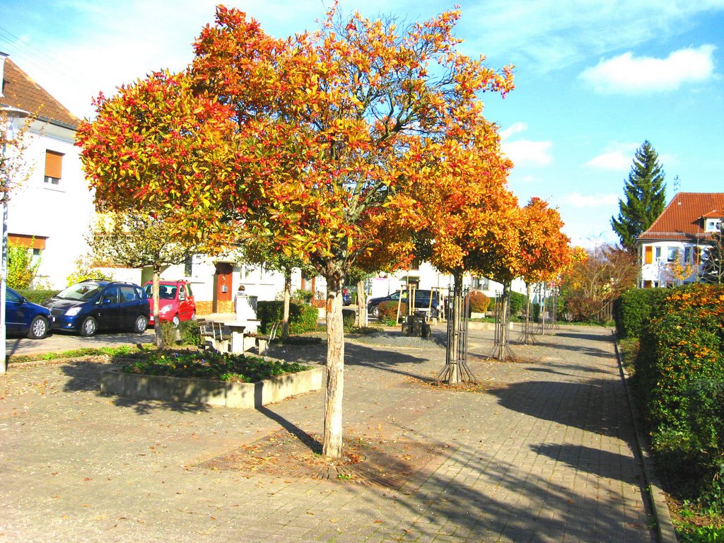 Colores de otoño by Sadabense