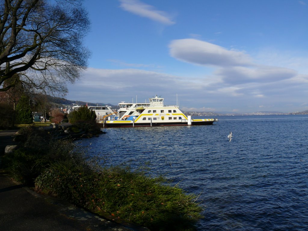 Zürichseefähre Horgen-Meilen: "Lände" in Horgen by daeBree