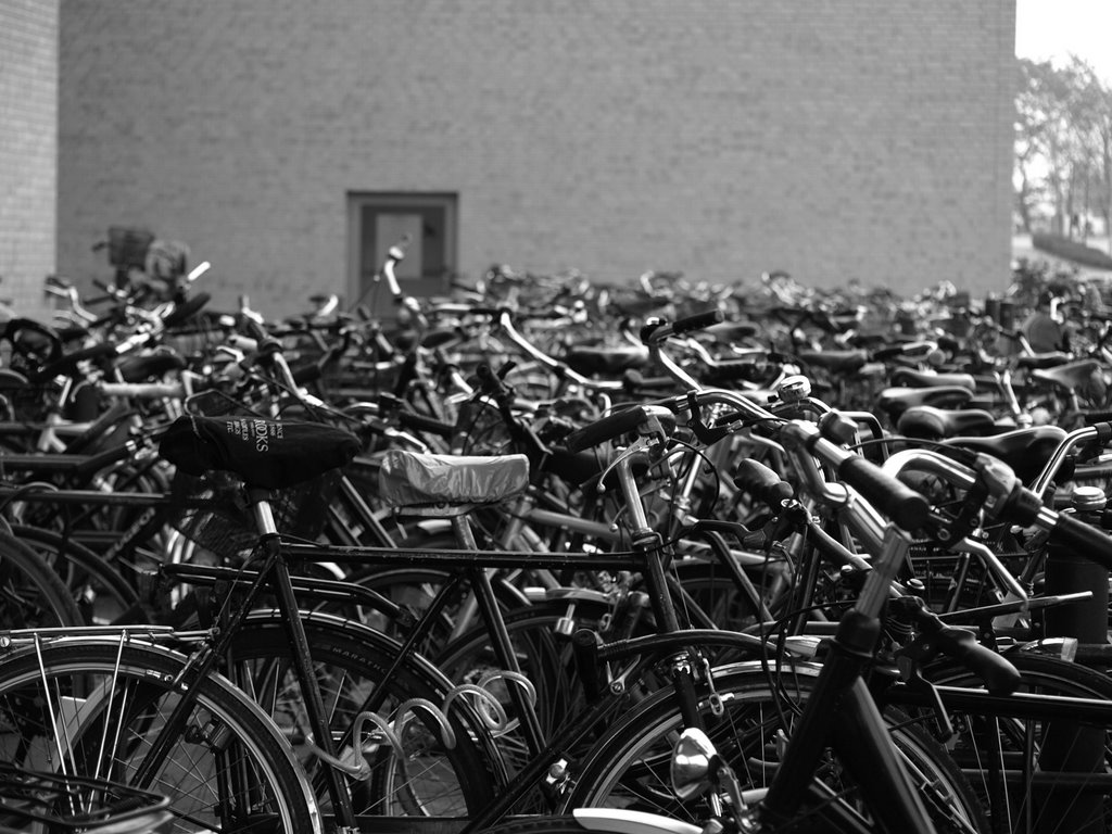 Bikes at the railway-station by szilard69