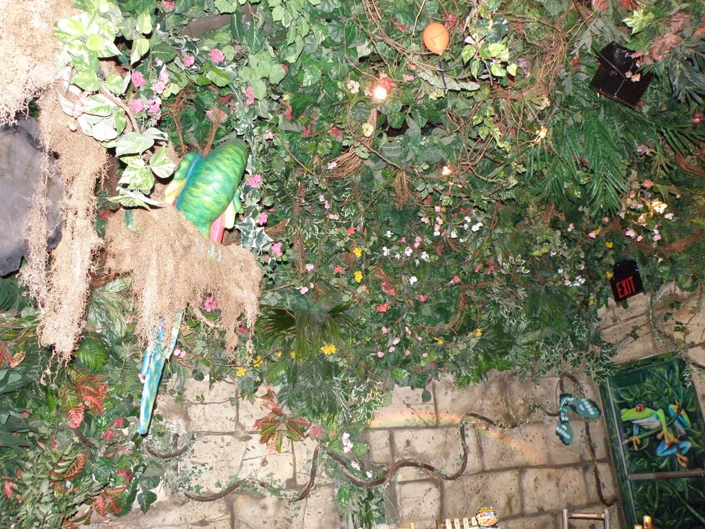 Rainforest Cafe At South Coast Mall, Orange County, CA. by Nasir Uddin