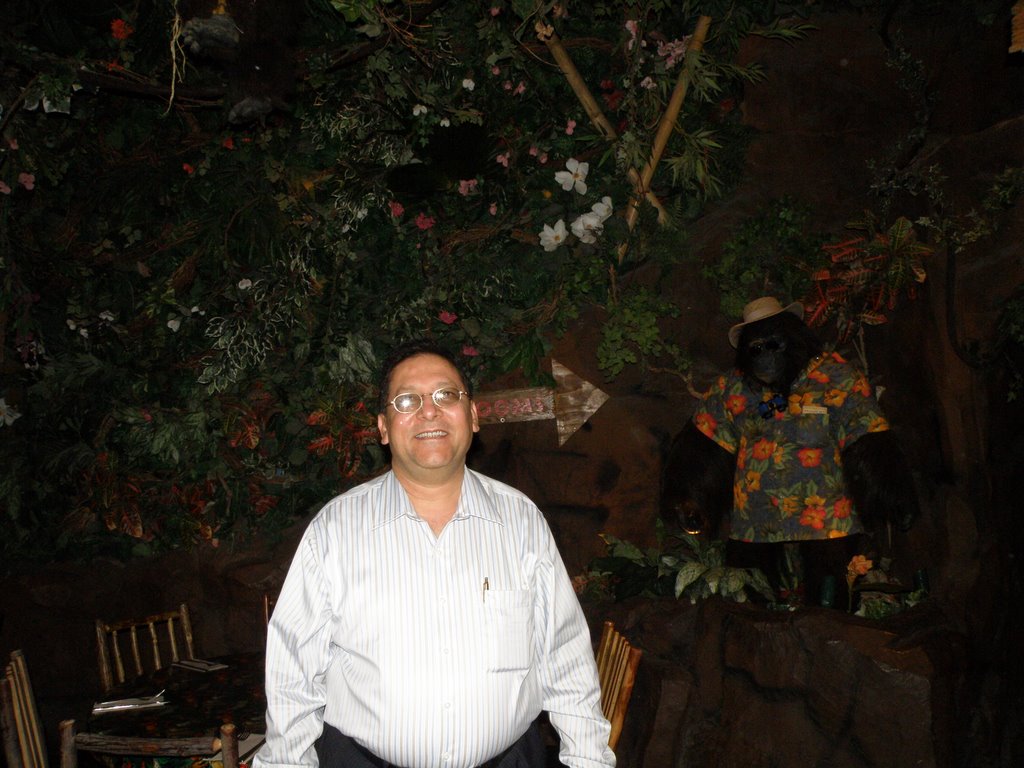 Mr. Nasir Uddin Standing Inside The Rainforest Cafe At South Coast Mall, Orange County, CA. by Nasir Uddin