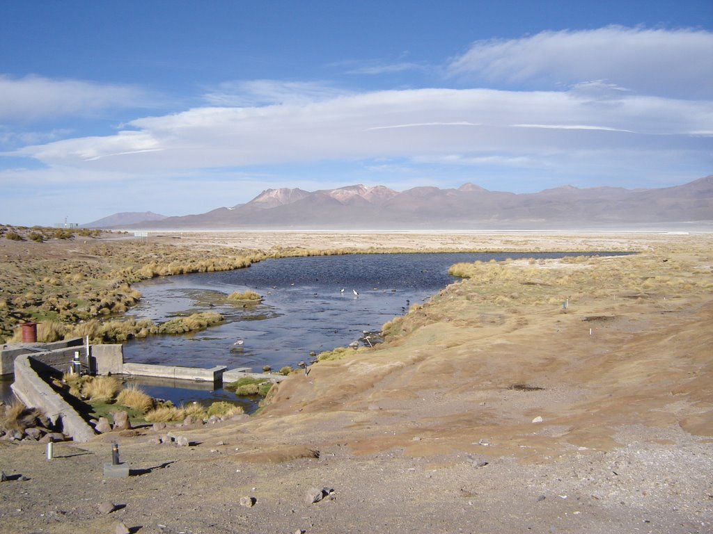 Pica, Región de Tarapacá, Chile by hmalinarich