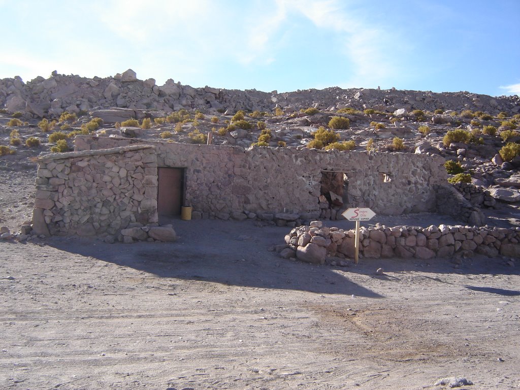 Pica, Región de Tarapacá, Chile by hmalinarich