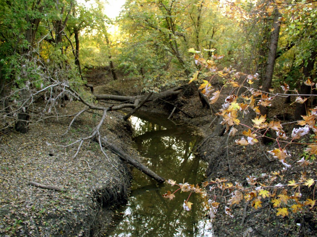 Frontier Park, Saint Charles, MO by Maguana