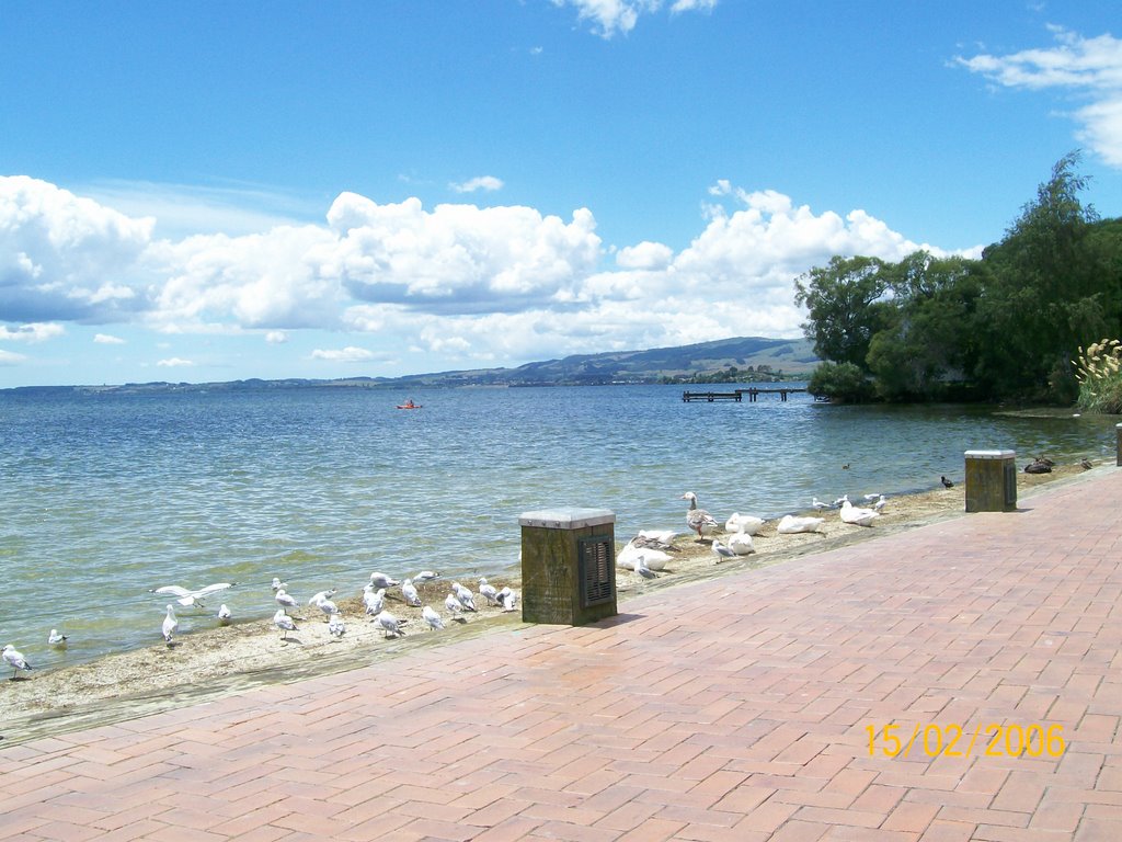 Rotorua Lake by jbuller7