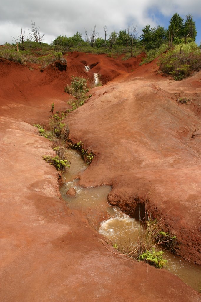 Red Dirt of Kauai by Trevor