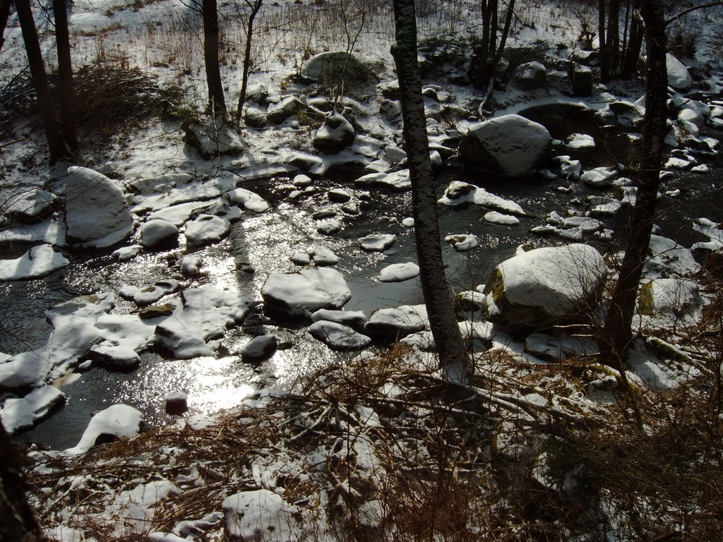 An der Wellerthalbrücke by Günter Hellus