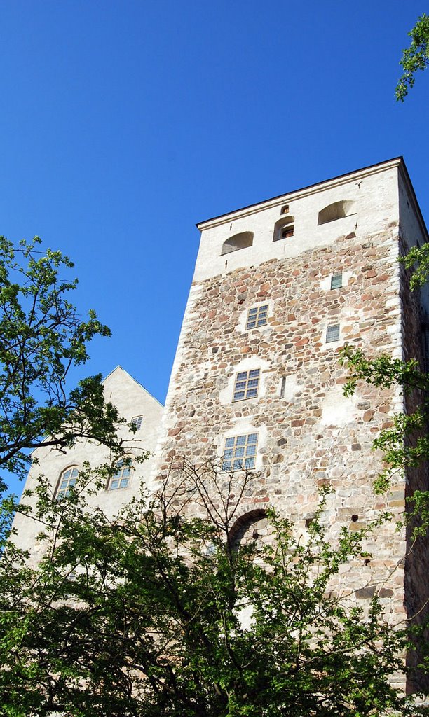 Turku castle by Joni Karki