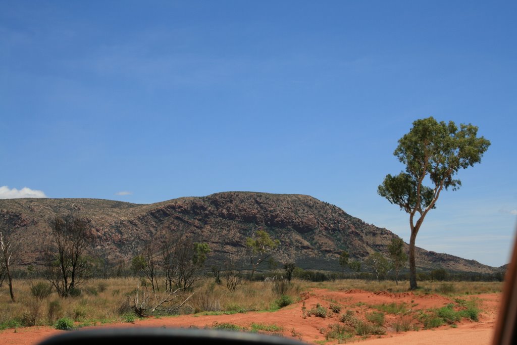 Ngaanyatjarra-Giles WA 0872, Australia by purple_jellie