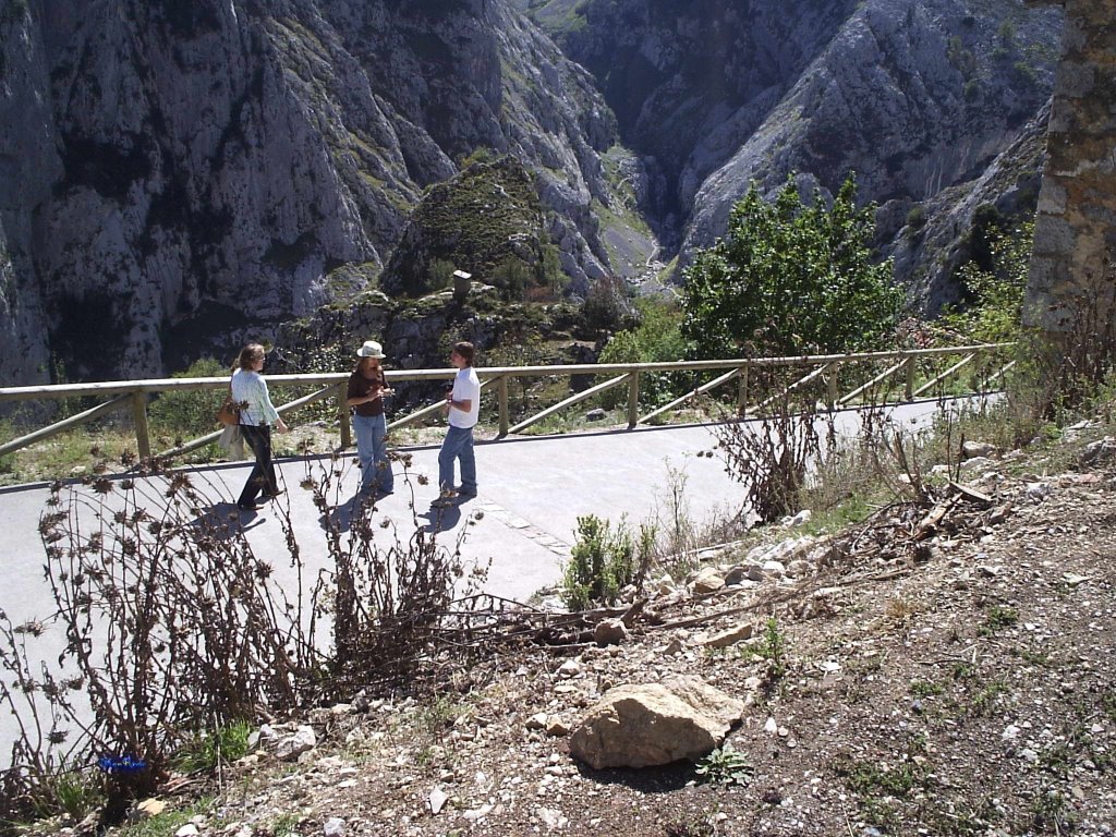 El Camino a Bulnes by Manuel Campos