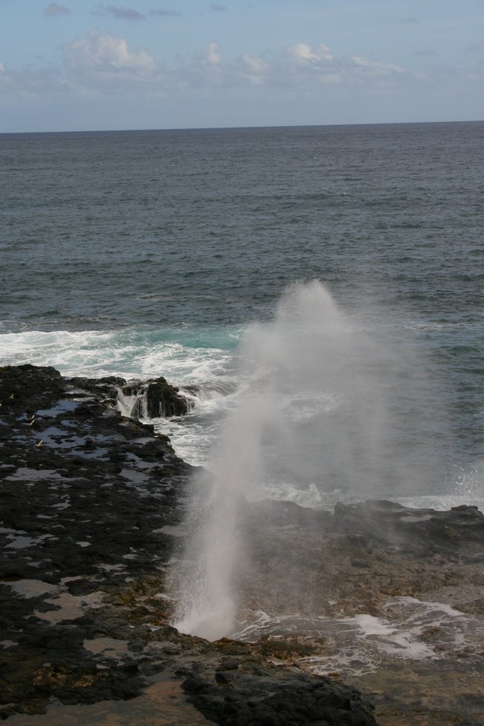 Spouting Horn by Trevor