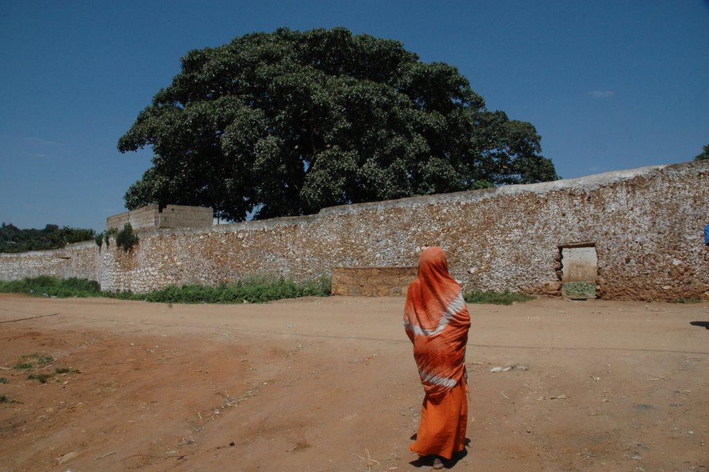 Harar Etiopia by morino giancarlo