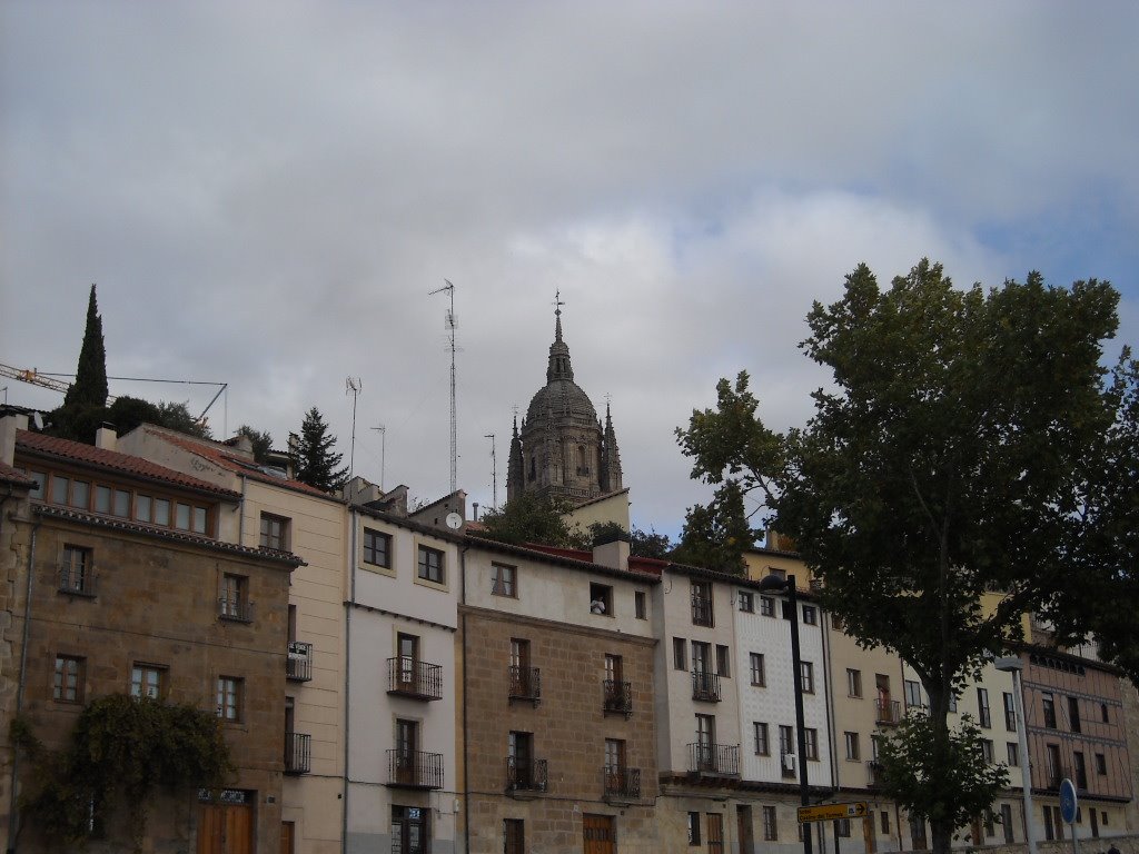 Vista de la ciudad desde la orilla del Tormes. Noviembre de 2008 by viajeroandaluz