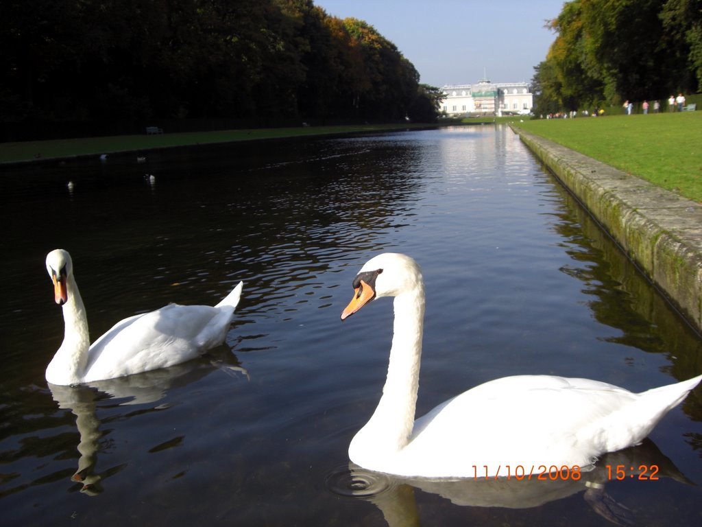 Schloss Benrath Замок Бенрат by Andrey Gruzintsev