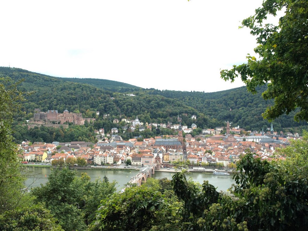 Heidelberg vue de la Philosopherweg by diorama96