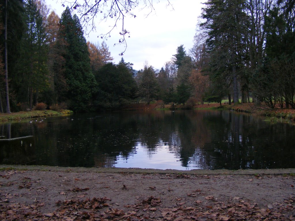 Slovakia, English Park in Turcianska Stiavnicka - Autumn reminiscences by Ivan Michalko