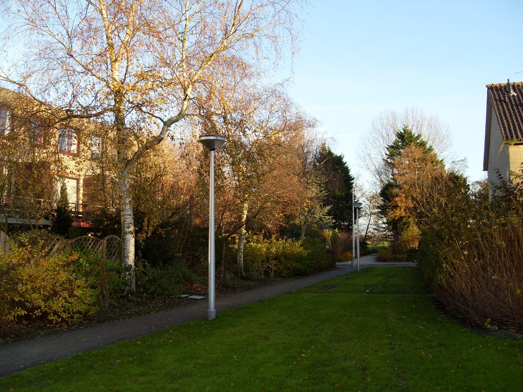 Groenelaan, Amstelveen, Netherlands by Bernard Hübner