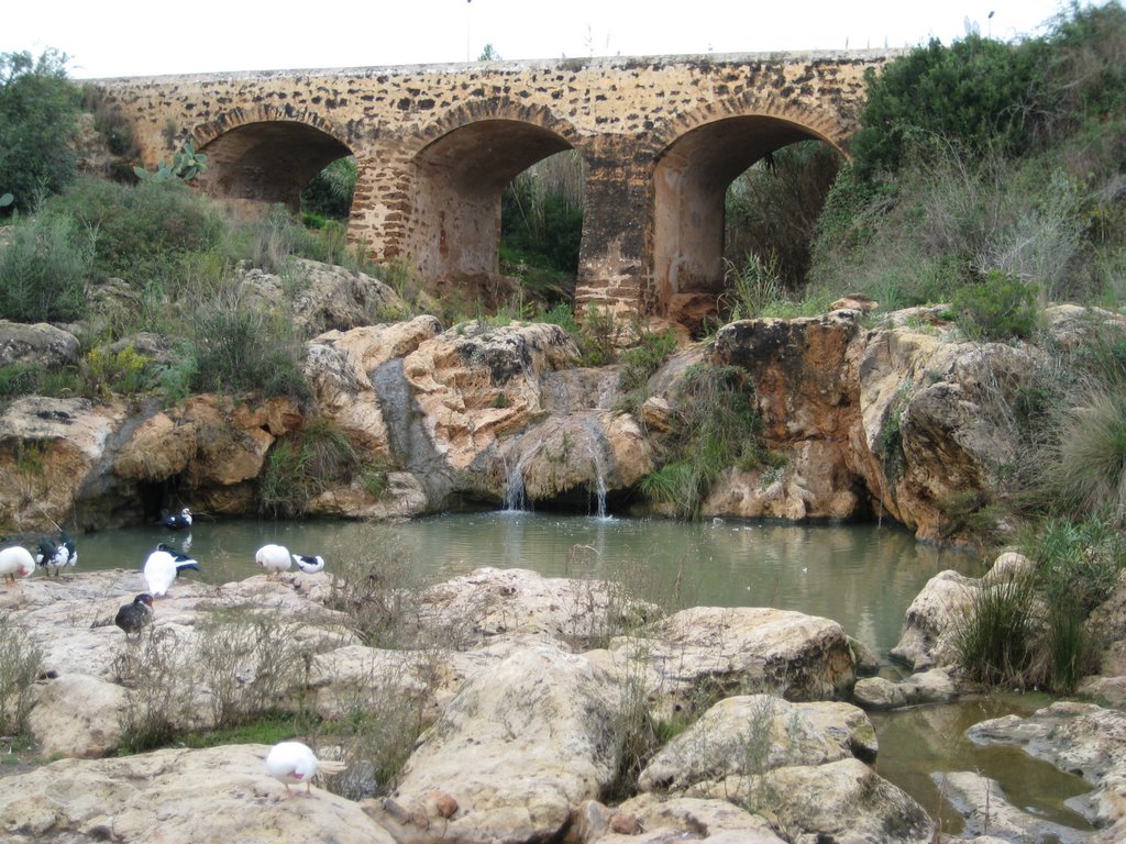 Roman bridge by Herman Wegter