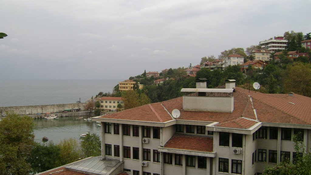 Adliye liman genel maden iş sendikası zonguldak by vedat saridilek