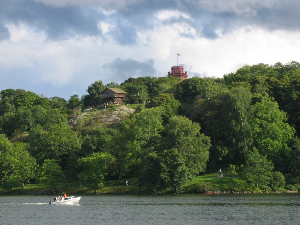 Skansen from Diplomatstaden by Alexander Teglund