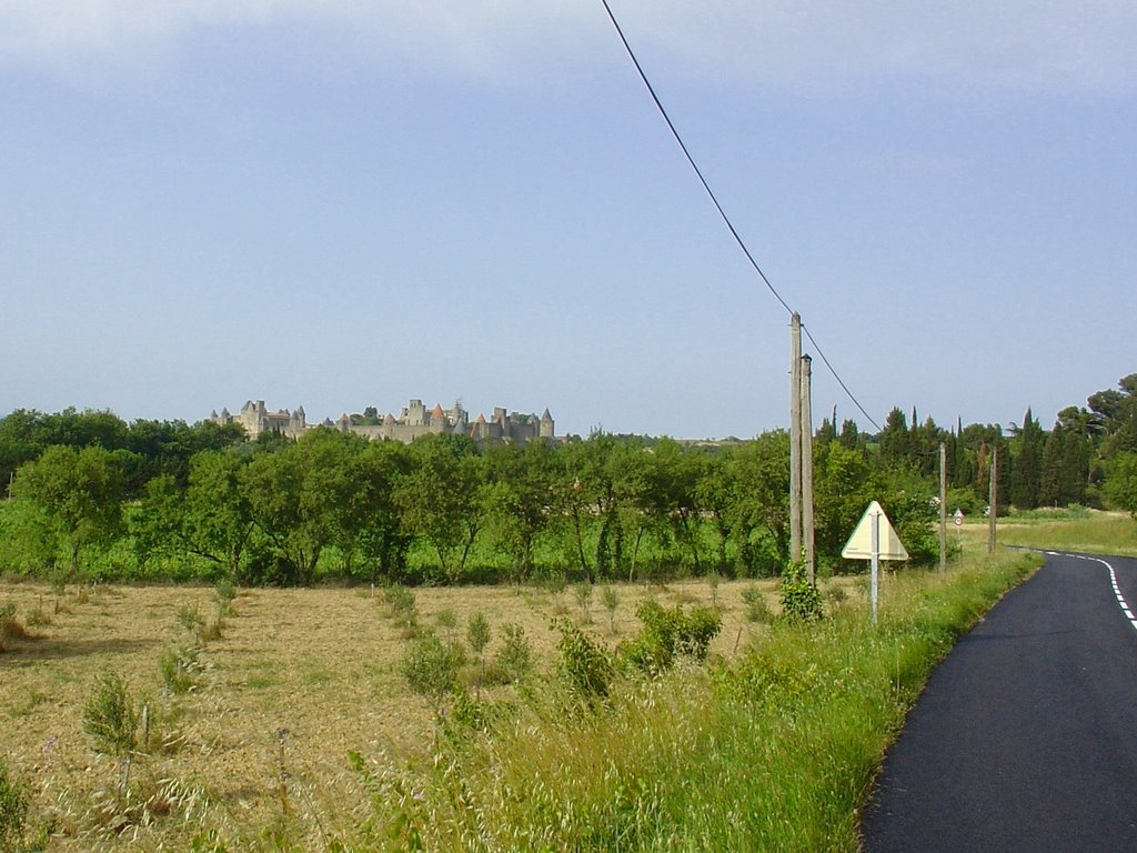 Frankreich_Languedoc-Roussillon_Blick auf die Cité von Carcassone by © ELMOKULA