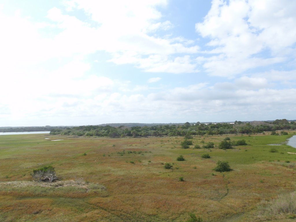 View North from atop Fort Mantanzas by SCBerry