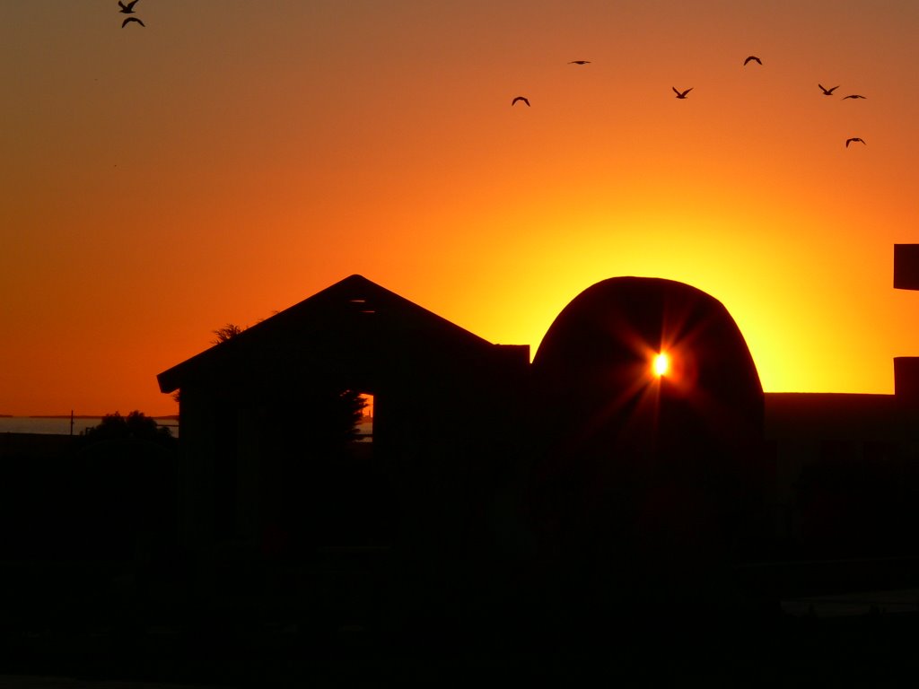 UN HERMOSO ATARDECER EN EL ANDADOR DE LA UABC by Rafael Miramontes