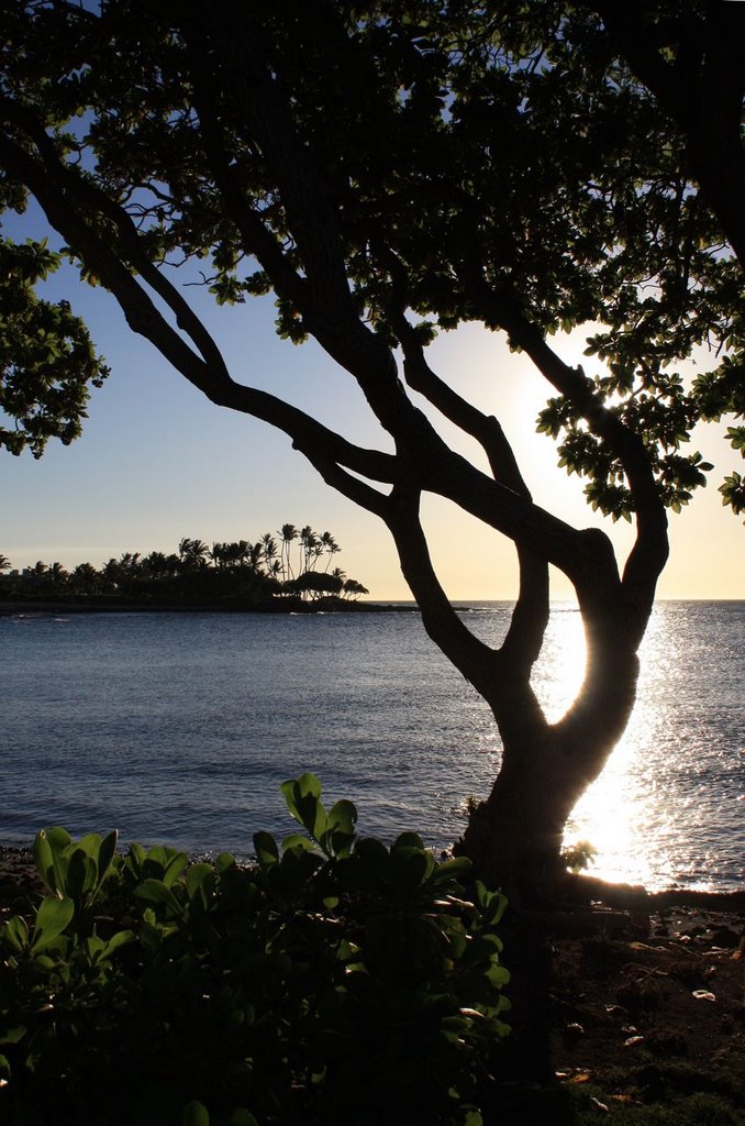 Sunset at Fairmont Orchid Hotel, The Big Island, Hawaii by rleckie