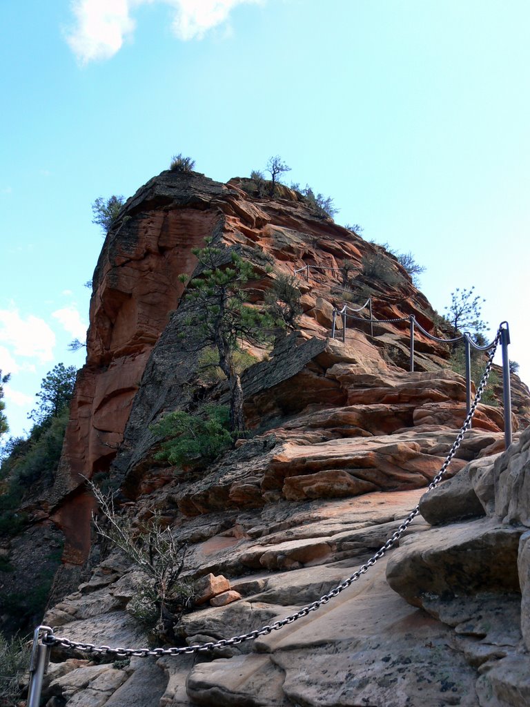 Zion National Park, USA by Cyril Durand