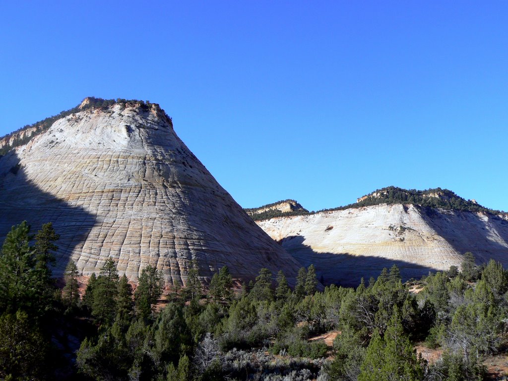 Zion National Park, USA by Cyril Durand