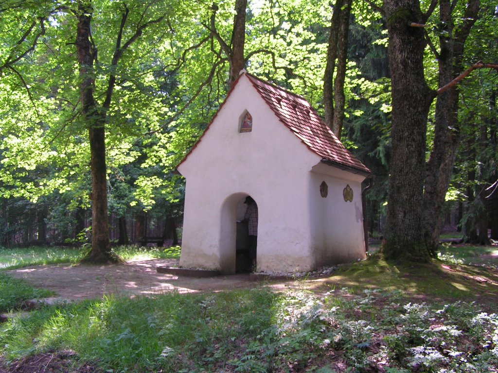 Waldkapelle zum Alten Herrgott im Wald by rbeer