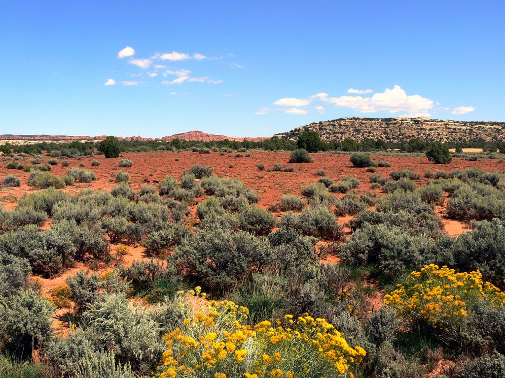 Grand Staircase-Escalante National Monument, USA by Cyril Durand