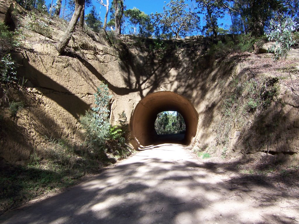 On the way to the caves, via mittagong by graeme dudley