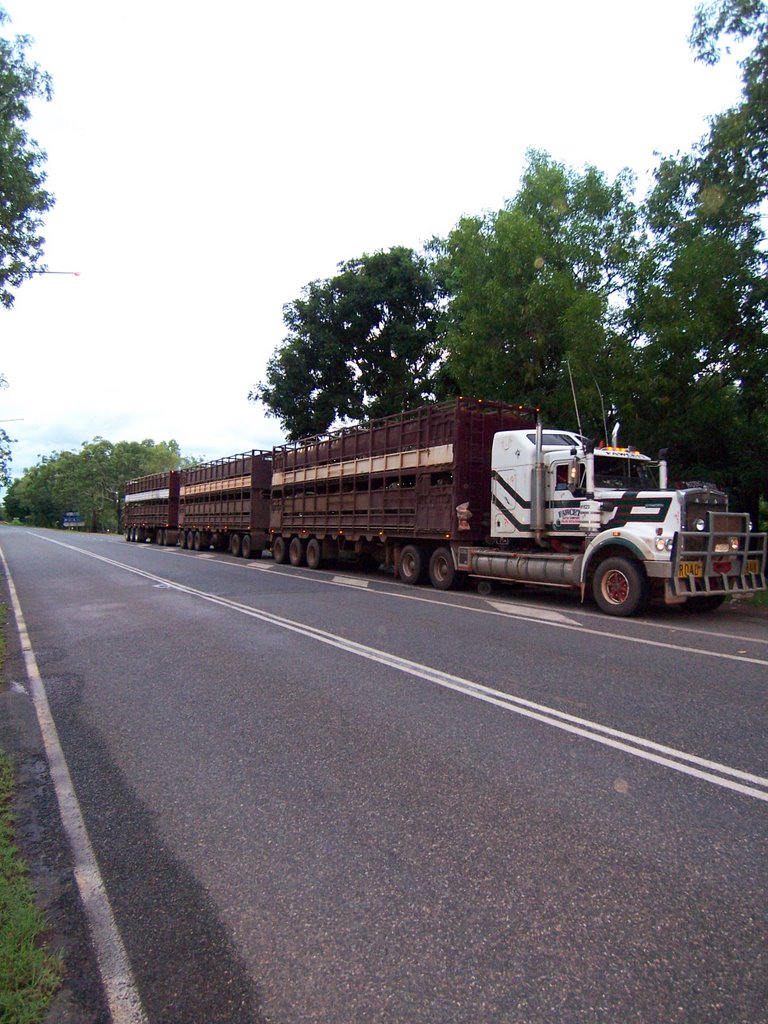 Australian road train by graeme dudley