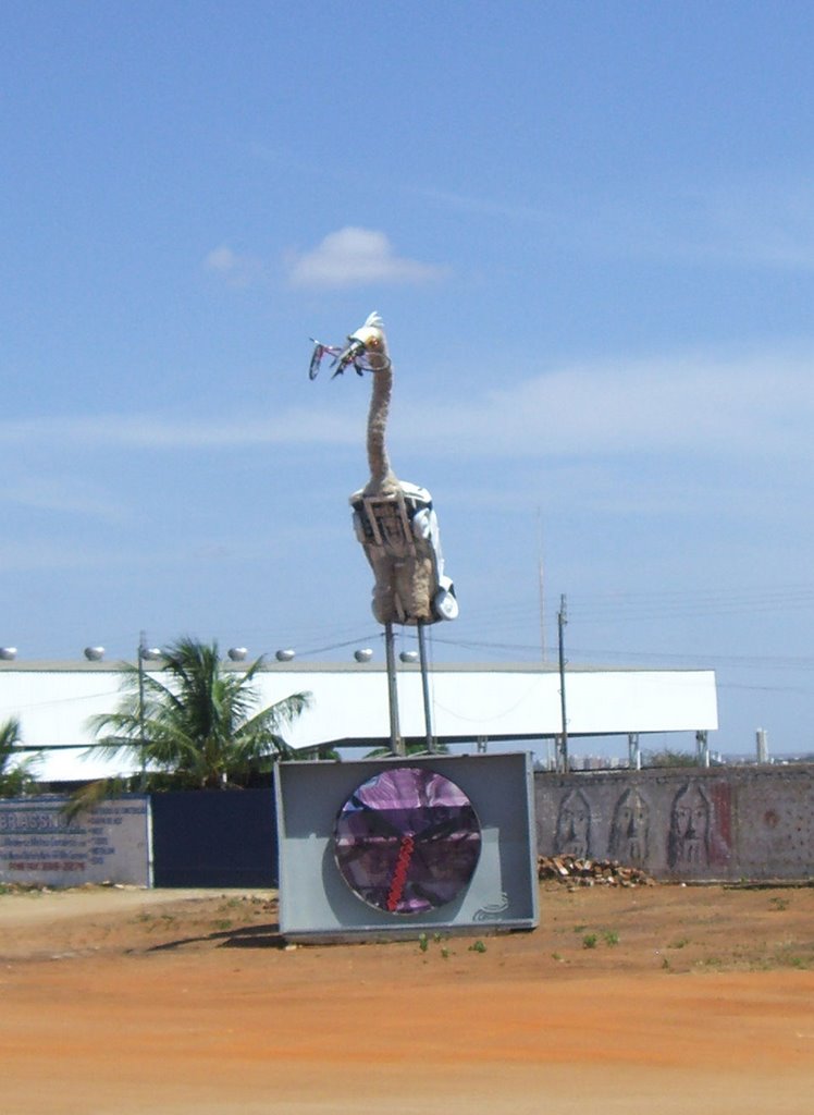 Garça engolindo uma bicicleta by George Maia