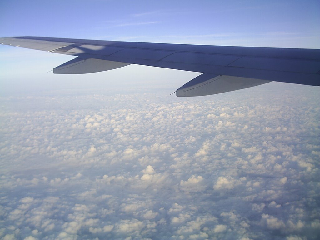 Over Louisiana Skies by jmbarbossa