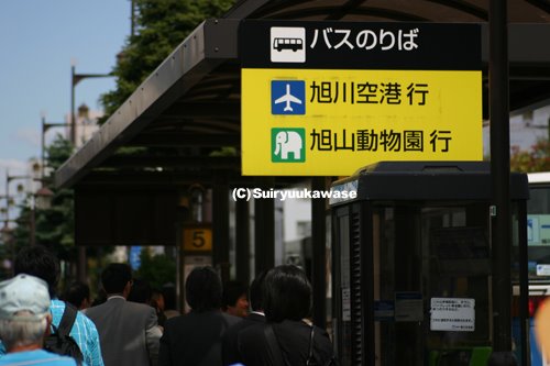 Asahikawa bus stop by suiryuukawase