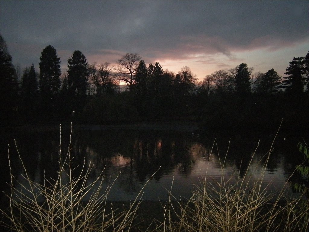 Bad Homburg-Schloßpark by Zé(penato)