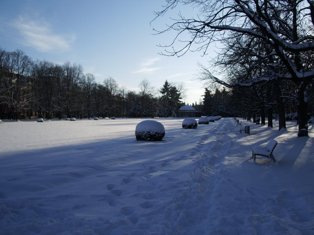 Poděbradský park v zimě by ARCTIA