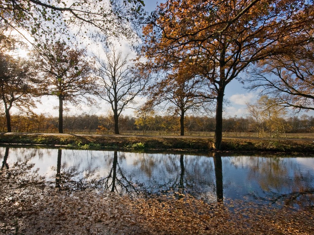 Autumn colours, Helenavaart, Mariapeel, Griendtsveen by Green Knee